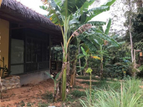 Eco Lagoon Countryside Art Retreat